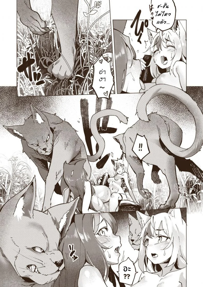 [Tamada Heijun] Yasei Hata หน้า 8