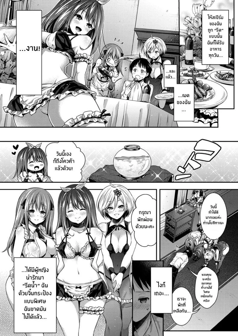 เซ็กส์ต้องห้ามกับฮาเร็มสาวใช้ [Hachigo] Harem Maid no Damedame Ecchi Kinky Sex with My Maid Haremเซ็กส์ต้องห้ามกับฮาเร็มสาวใช้ 1 หน้า 12