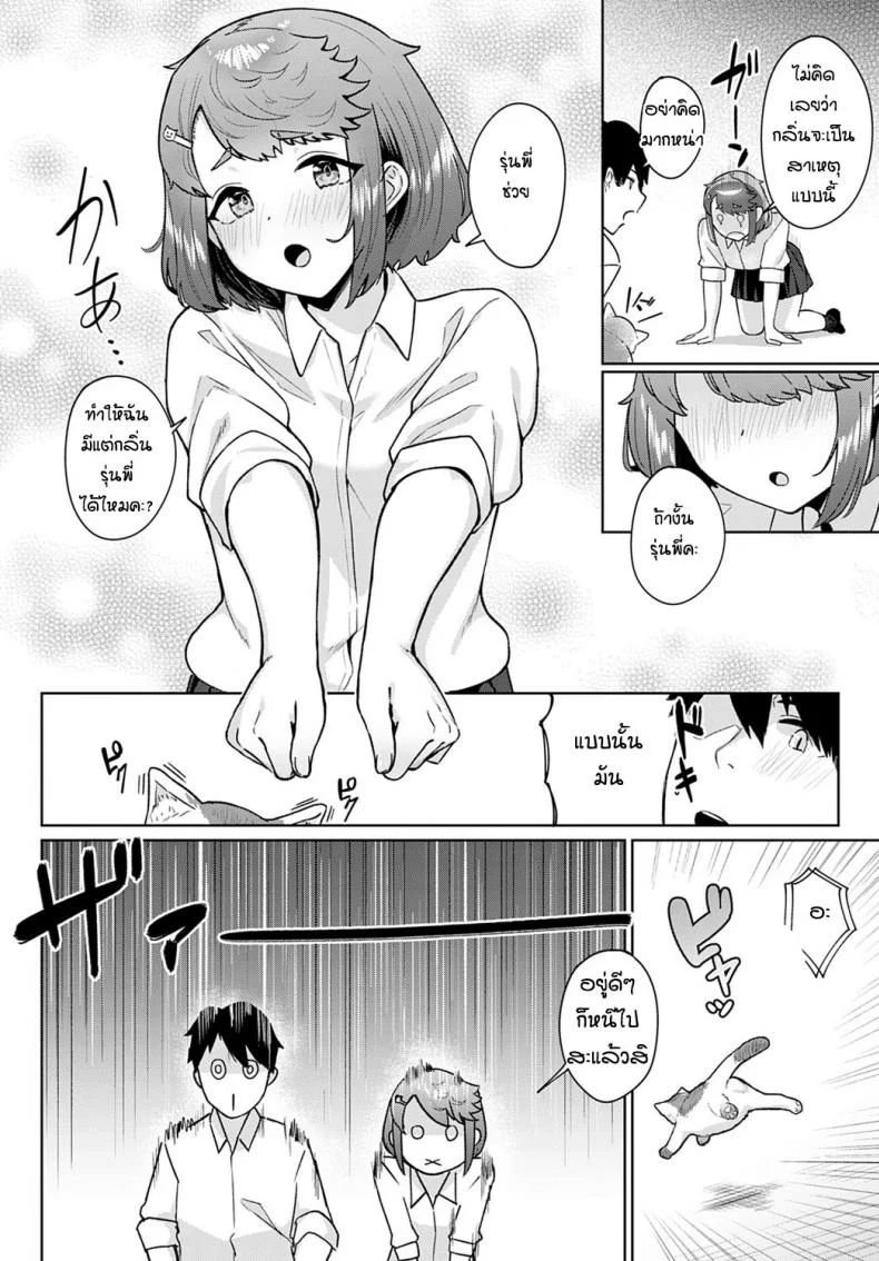 ชอบแมวแล้วก็ชอบรุ่นพี่ด้วย [Nakao Ham] Neko no chiamayadori หน้า 4
