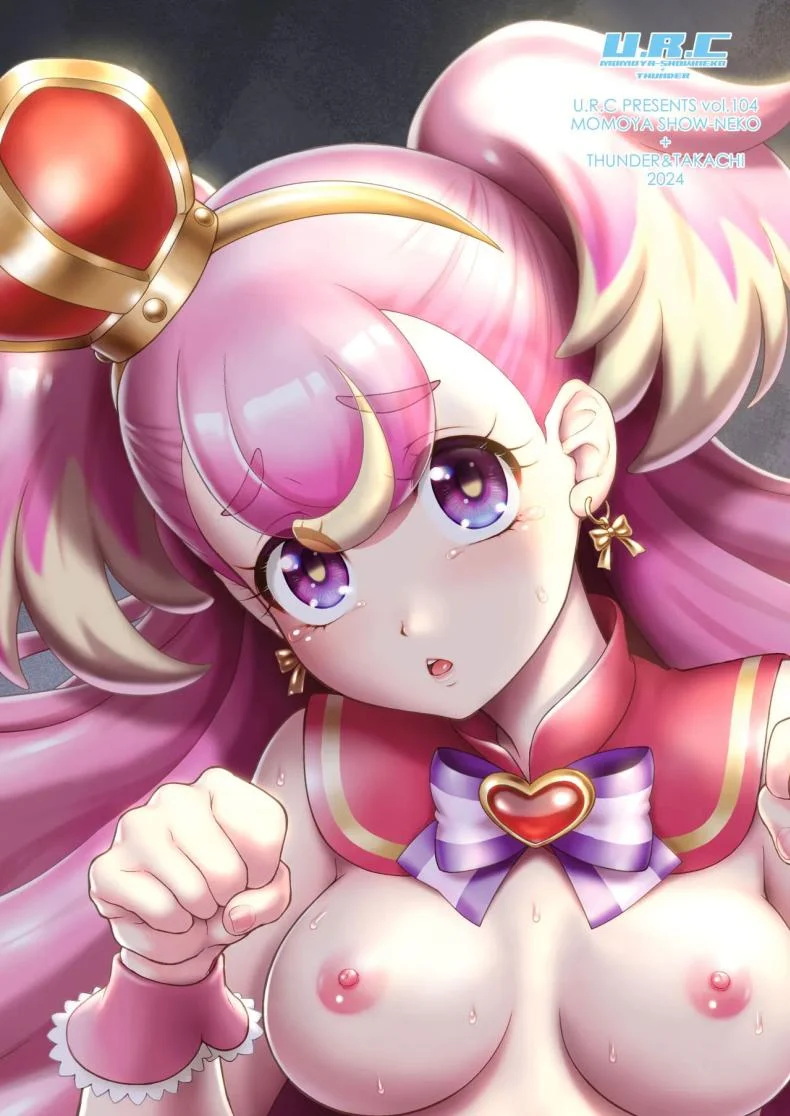 จับหมาได้หนึ่งตัว [U R C (Momoya Show-Neko)] Aheahe Wonderful (Wonderful PreCure!) หน้า 30