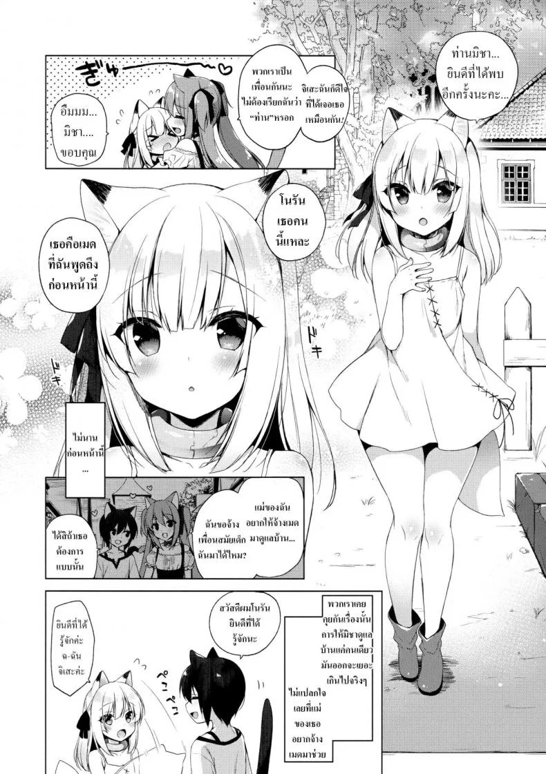 เกิดใหม่ทั้งทีอยู่ในโลกคนหูสัตว์ซะแล้ว (C93) [23.4do (Ichiri)] Boku no Risou no Isekai Seikatsu - My Ideal Life In A Different Worldเกิดใหม่ทั้งทีอยู่ในโลกคนหูสัตว์ซะแล้ว 3 หน้า 4
