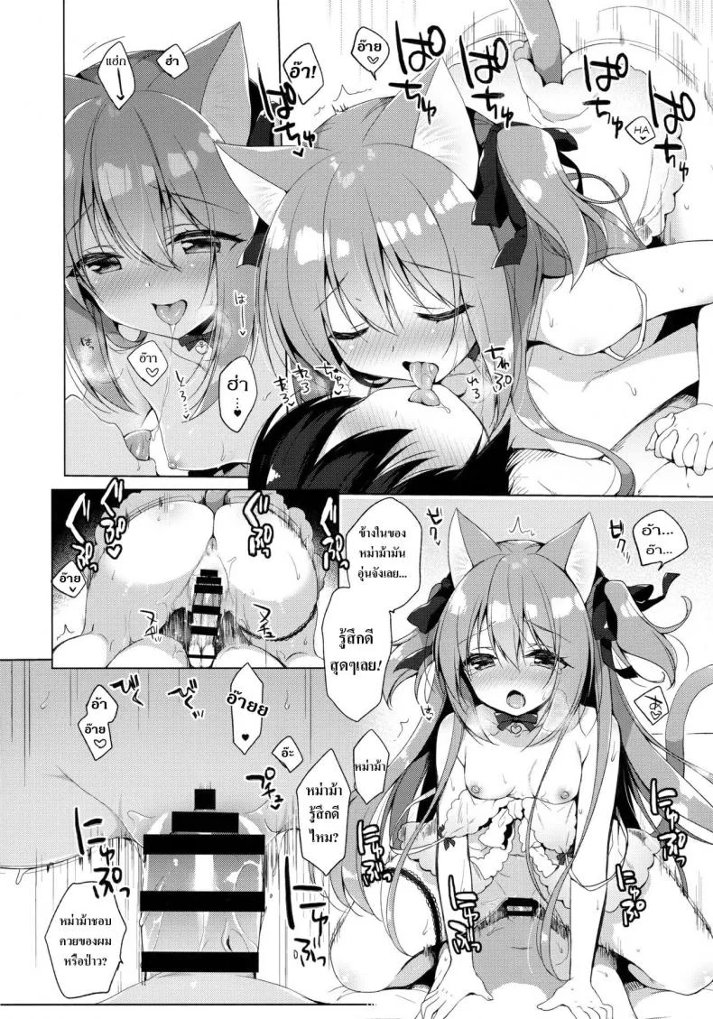 เกิดใหม่ทั้งทีอยู่ในโลกคนหูสัตว์ซะแล้ว (C93) [23.4do (Ichiri)] Boku no Risou no Isekai Seikatsu - My Ideal Life In A Different Worldเกิดใหม่ทั้งทีอยู่ในโลกคนหูสัตว์ซะแล้ว 3 หน้า 13