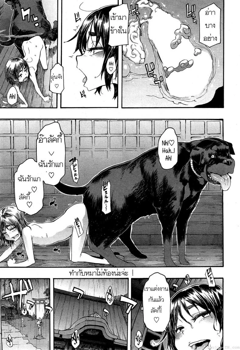 เจ้าหมาลัคกี้ 4zPtYG6 หน้า 22