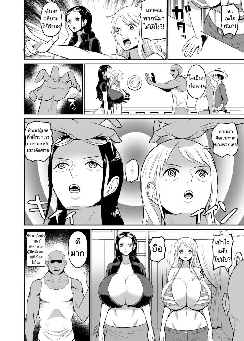 ลูกเรือใหม่ของกลุ่มหมวกฟาง [REM9 (Hamiltan)] Koitsura ga Oretachi no Atarashii Nakama da! หน้า 4