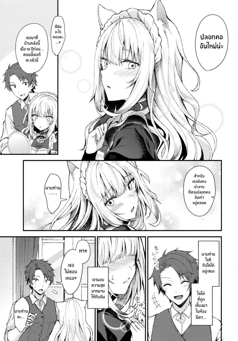 เเสงสว่างในห้องมืด(C97) [Tekkamaki (Tetsuyama Kaya)] Moto Dorei no Nekomimi Maid to Shiawase Ecchi Suru Hon หน้า 7