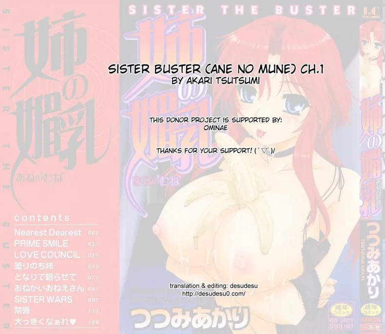 รักอลวล พี่น้องอลเวง [Tsutsumi Akari] Ane no Mune - SISTER THE BUSTER - 3รักอลวล พี่น้องอลเวง 2 หน้า 19
