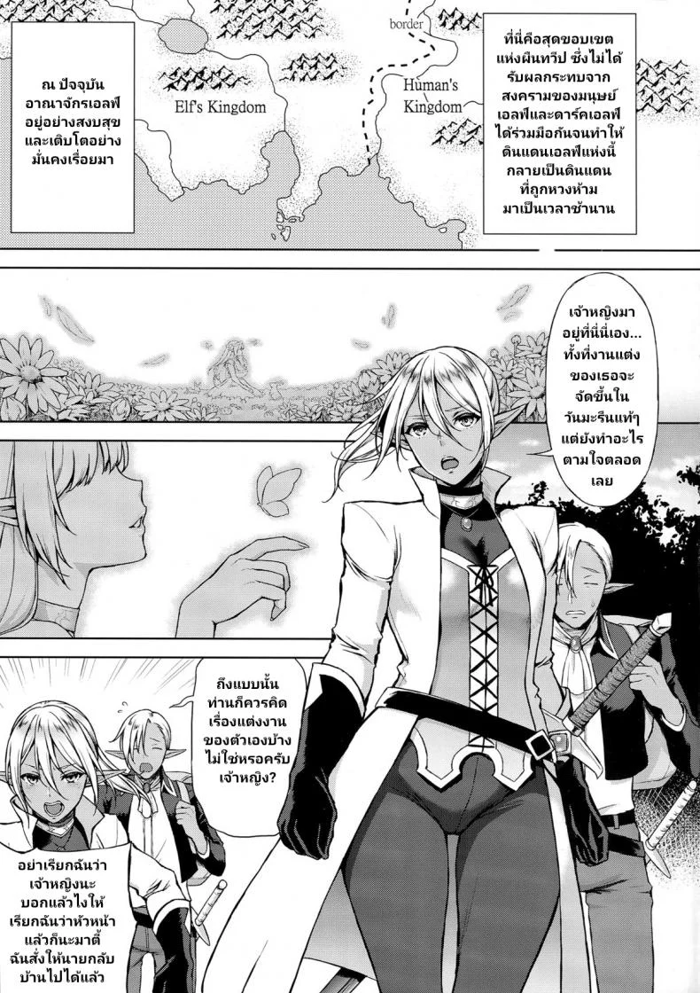 (C87) [H.B.A (Usagi Nagomu)] Elf no Hime wa Kairaku ni Naku หน้า 4
