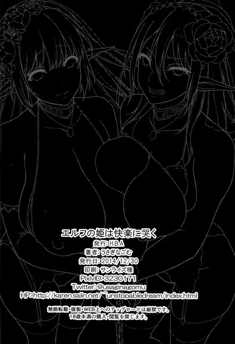 (C87) [H.B.A (Usagi Nagomu)] Elf no Hime wa Kairaku ni Naku หน้า 41