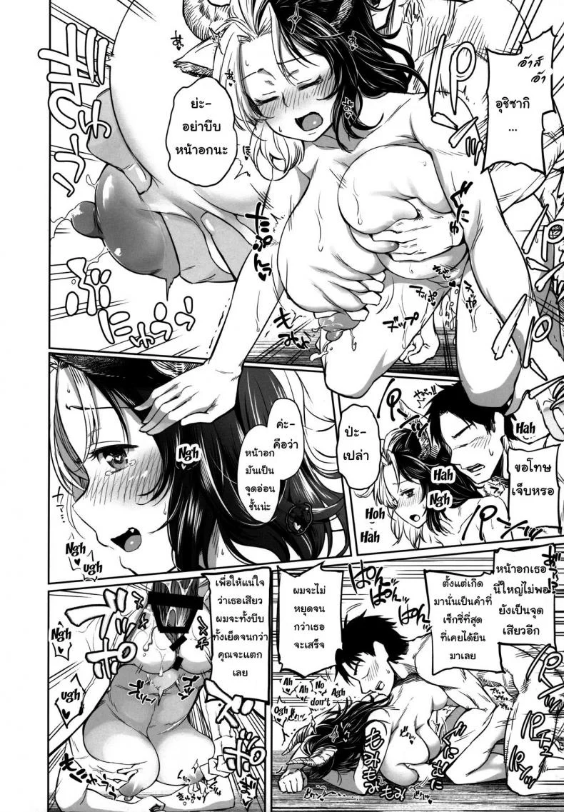 เธอหวังดี ผมหวังฟัน (C96) [Area-S (Dra)] Mendoumi no Ii Ushizaki-san (Touhou Project) หน้า 15