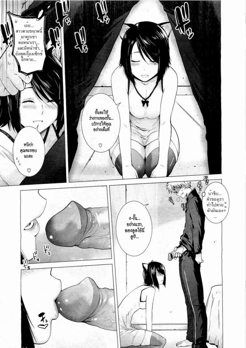 รักเหมียวๆ ขอเกี่ยวหัวใจ 9IkR0V14 หน้า 5