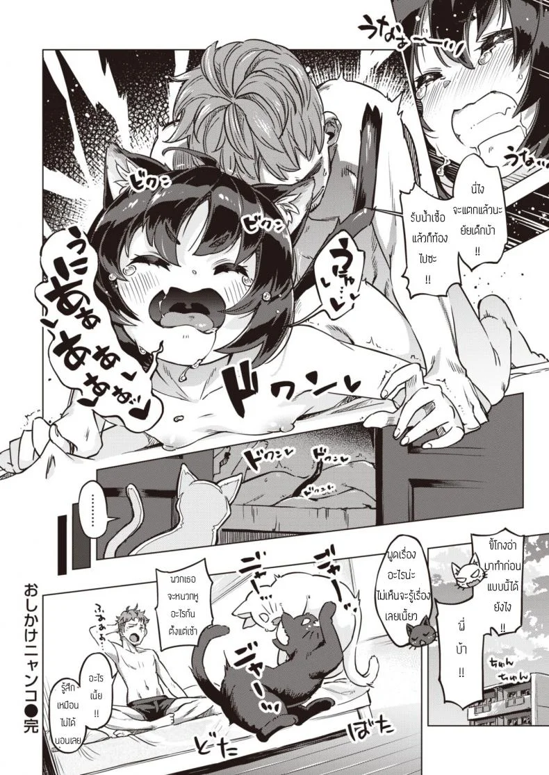 แมวแทนบุญคุณ [Super Zombie] Oshikake Nyanko Nyankoแมวแทนบุญคุณ 1 หน้า 16