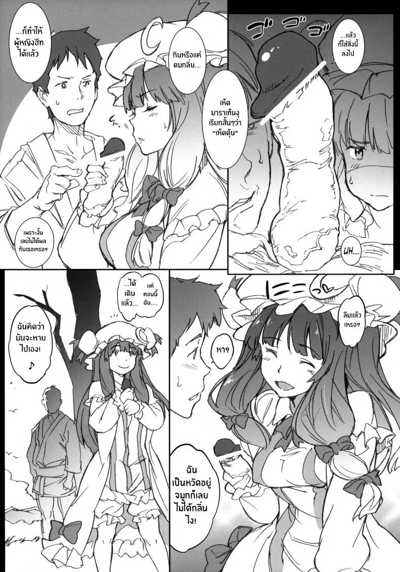 เห็ดเป็นเหตุ(C87) [Egao de Bouryoku (mogg)] Kyoushoujo - Lunatic Girl (Touhou Project) หน้า 10