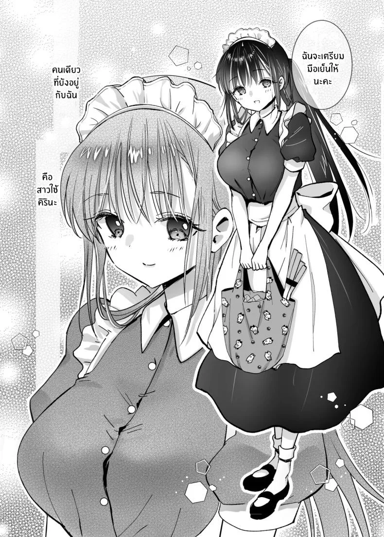 ขออุทิศให้นายน้อย[Bicolor (Kuroshiro Neko)] Maid no Kirina wa Bouchama ni Tsukushitai หน้า 5