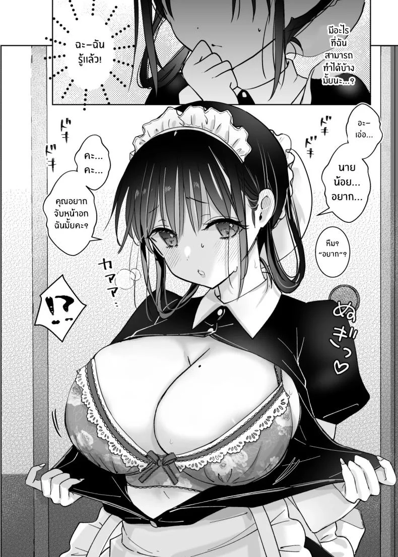 ขออุทิศให้นายน้อย[Bicolor (Kuroshiro Neko)] Maid no Kirina wa Bouchama ni Tsukushitai หน้า 9