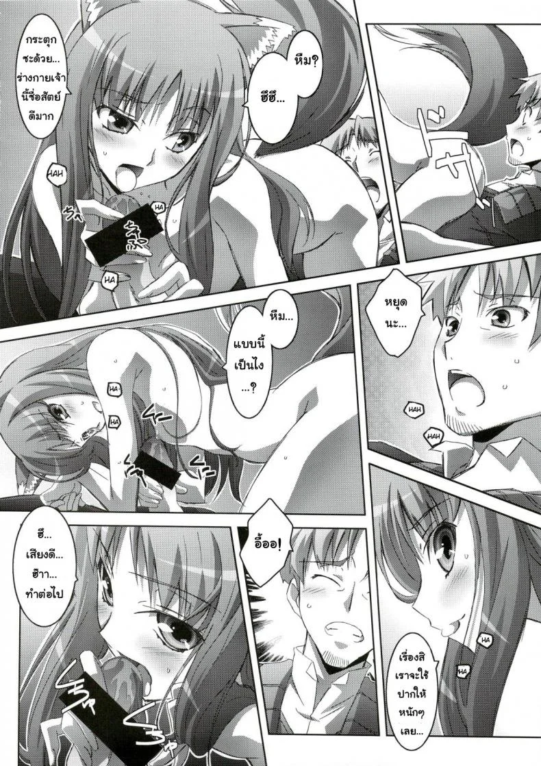 สรรพคุณ เห็ดถั่งเช่า (C74) [Mahirutei (Izumi Mahiru)] Horon Hororon (Ookami to Koushinryou [Spice and Wolf]) หน้า 13