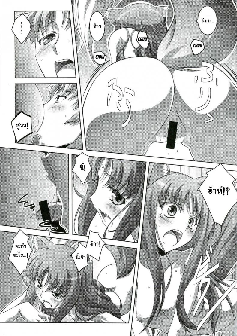 สรรพคุณ เห็ดถั่งเช่า (C74) [Mahirutei (Izumi Mahiru)] Horon Hororon (Ookami to Koushinryou [Spice and Wolf]) หน้า 14