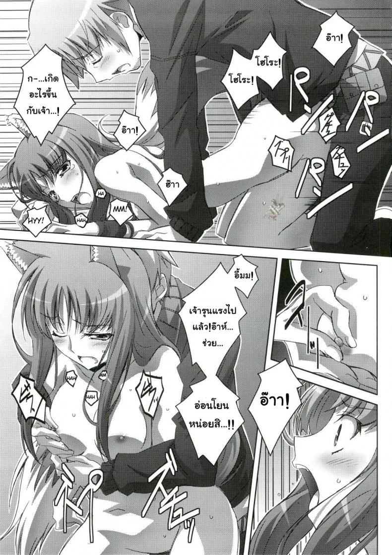สรรพคุณ เห็ดถั่งเช่า (C74) [Mahirutei (Izumi Mahiru)] Horon Hororon (Ookami to Koushinryou [Spice and Wolf]) หน้า 16