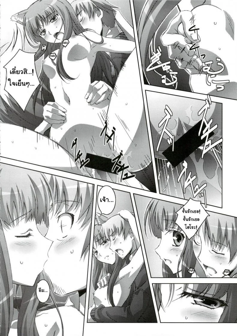 สรรพคุณ เห็ดถั่งเช่า (C74) [Mahirutei (Izumi Mahiru)] Horon Hororon (Ookami to Koushinryou [Spice and Wolf]) หน้า 17