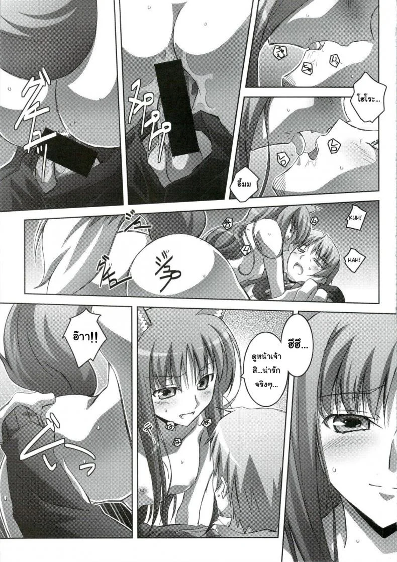 สรรพคุณ เห็ดถั่งเช่า (C74) [Mahirutei (Izumi Mahiru)] Horon Hororon (Ookami to Koushinryou [Spice and Wolf]) หน้า 20