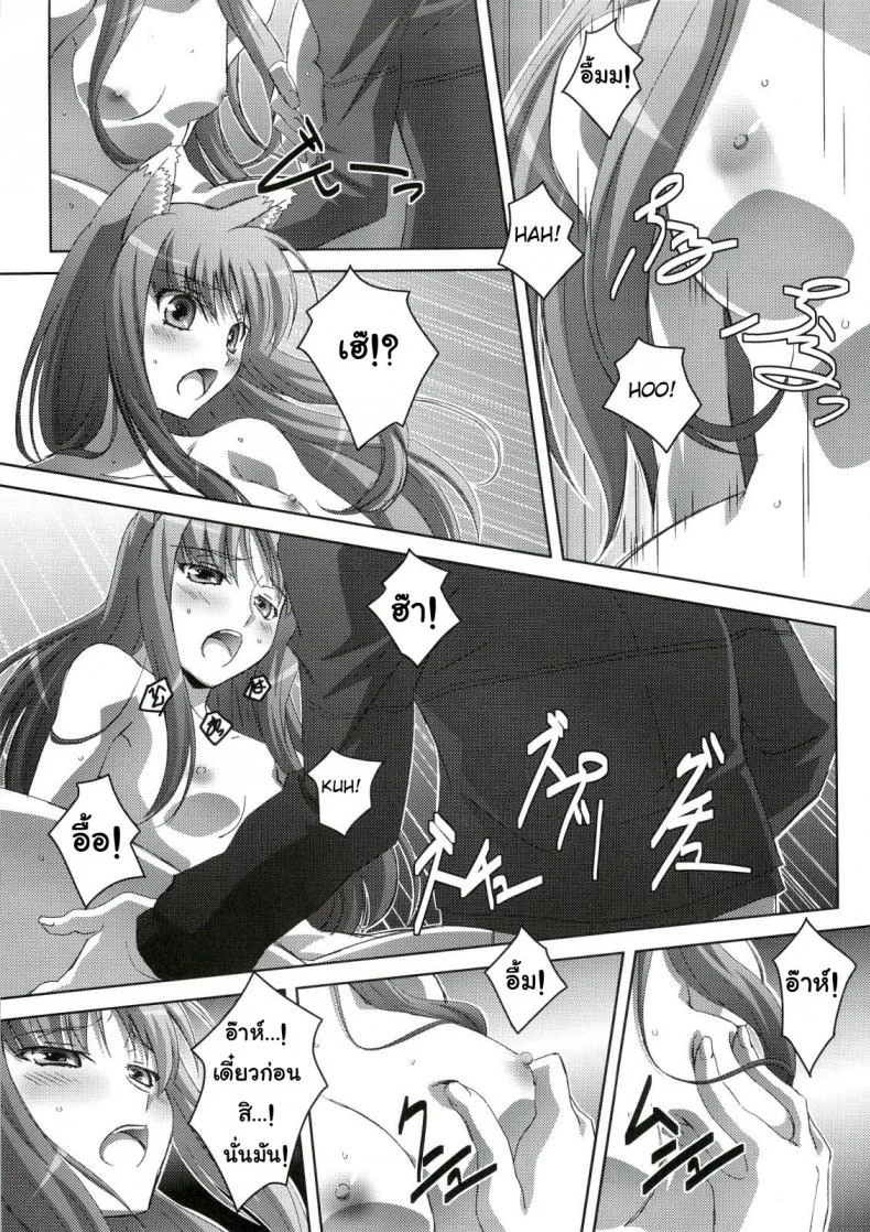 สรรพคุณ เห็ดถั่งเช่า (C74) [Mahirutei (Izumi Mahiru)] Horon Hororon (Ookami to Koushinryou [Spice and Wolf]) หน้า 22
