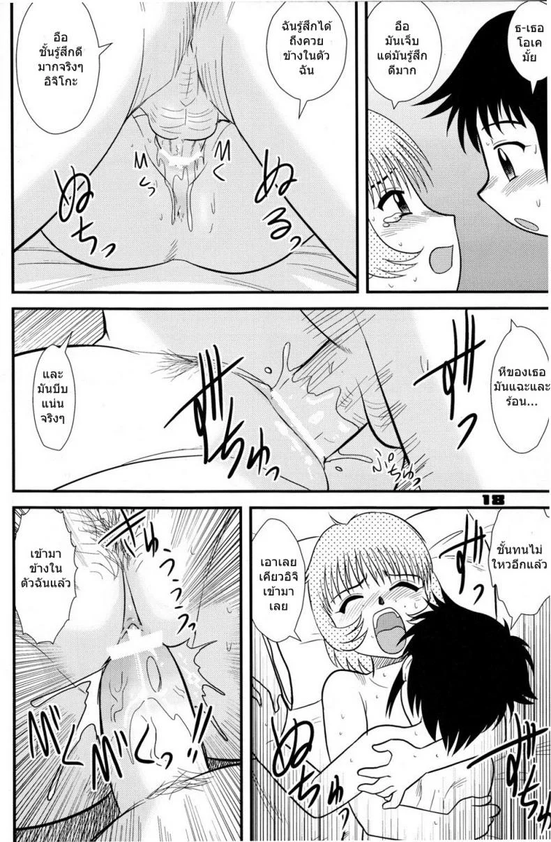 จุดสินสุดของวัยเด็ก - สถานการณ์ของฝาแฝด (C74) [Sendouya (Juan Gotoh)] Childhood's End - Book | The Twins' Circumstances หน้า 18