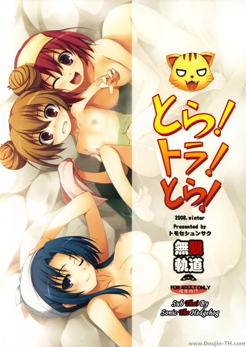 ทำแบบนี้เพื่อให้หายตื่นเต้นนะ (C75) [MugenKiDou A (Tomose Shunsaku)] Tora! Tora! Tora! (Toradora!) หน้า 22