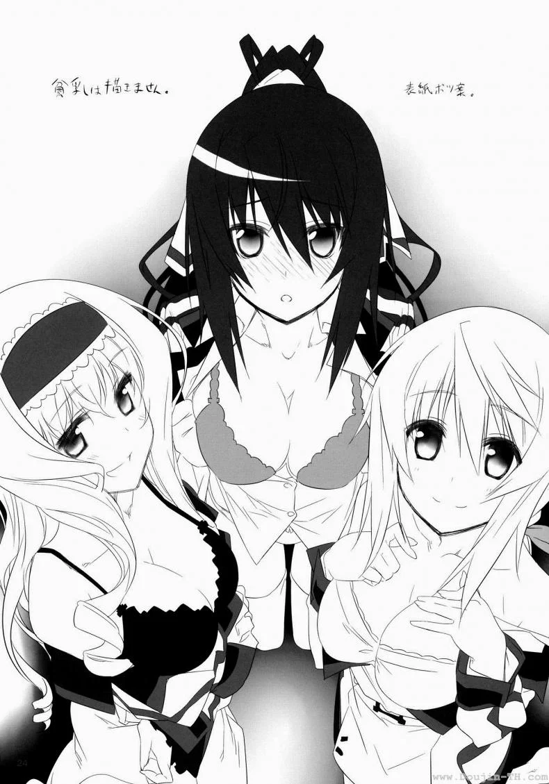 ชาร์ โฮกิ เซซิเลีย (C80) [Himura Nyuugyou (Himura Kiseki)] Yuuzai Shouko Bukken 3-gou (Infinite Stratos)ชาร์ โฮกิ เซซิเลีย 2 หน้า 11