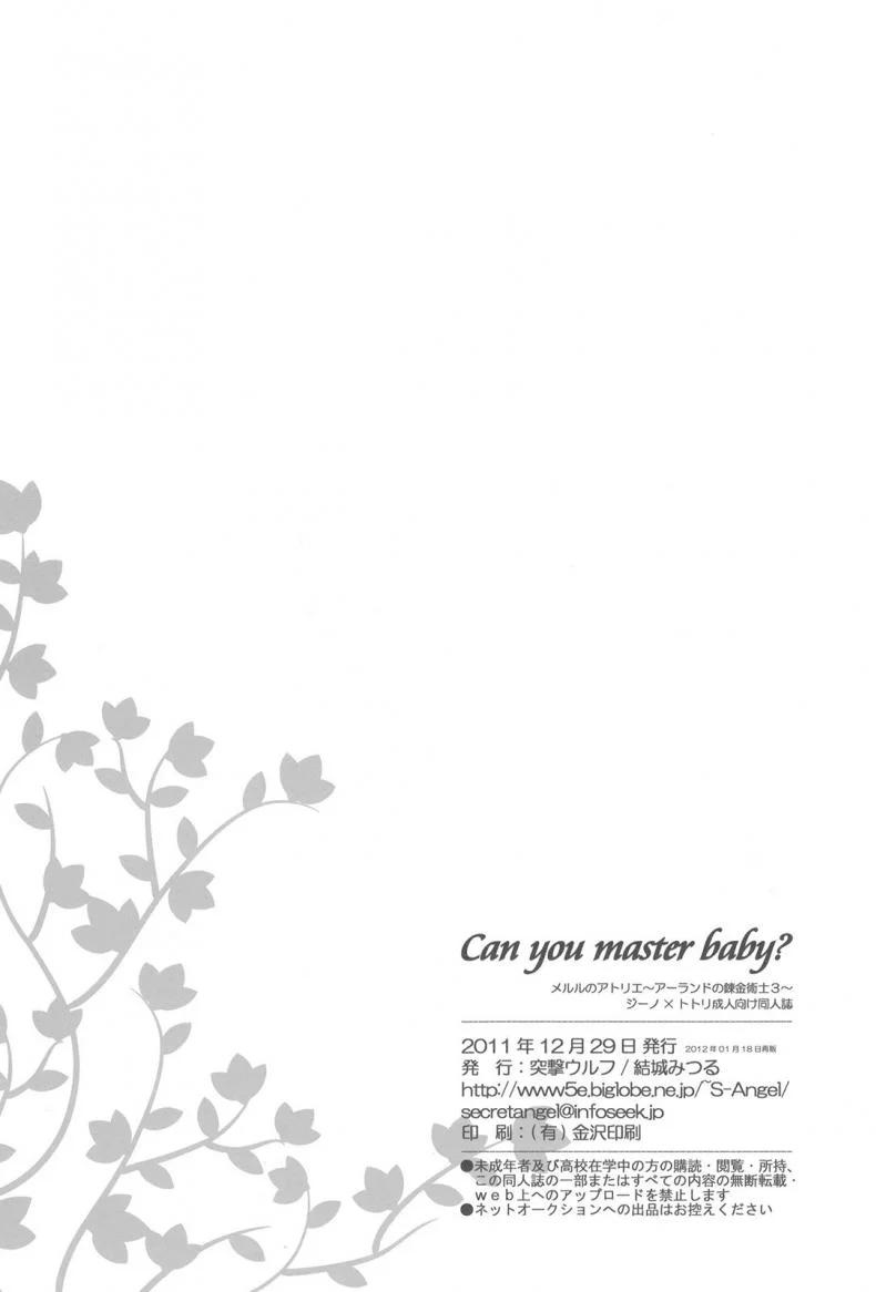 ช่วงเวลาแห่งความสุข (C81) [Totsugeki Wolf (Yuuki Mitsuru)] Can you master baby? (Atelier Meruru) หน้า 17