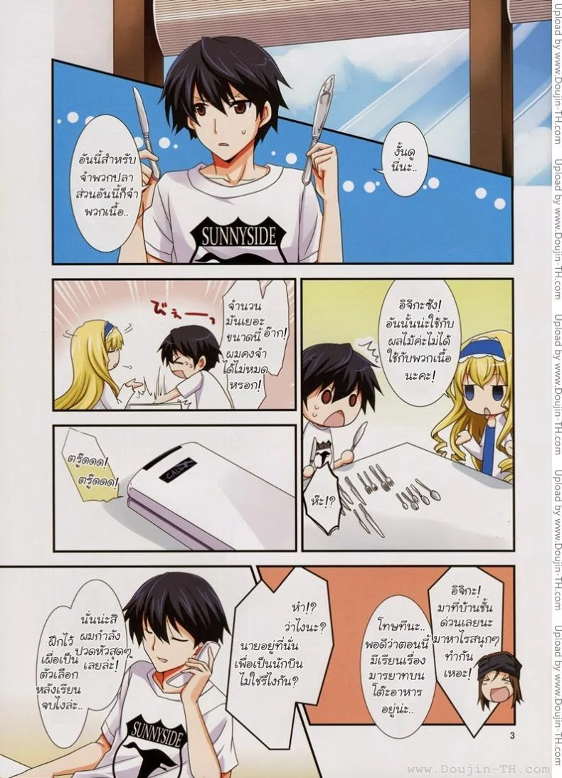 อบรมสามี (C82)[CHAGASHI SAIBAN (Yamabuki Mook)] Lesson! (Infinite Stratos) หน้า 4