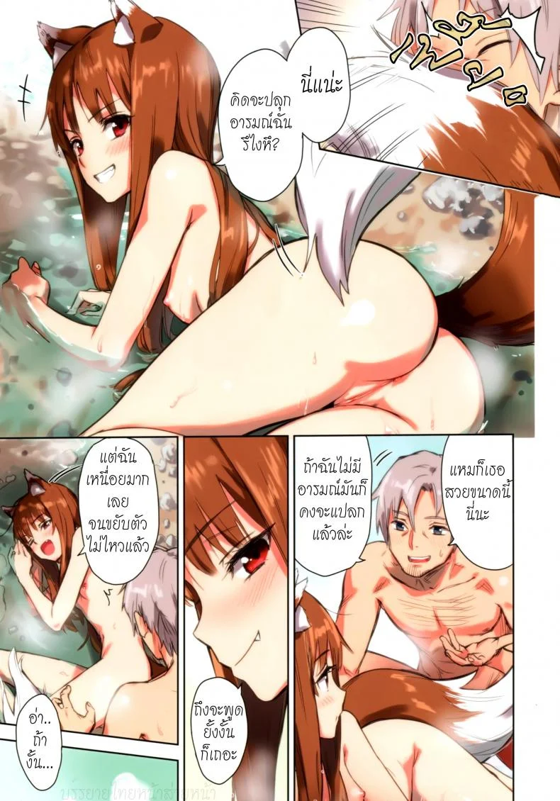 ไม่ได้เหนื่อยเพราะงาน (C89) [Ajisaidenden (Kawakami Rokkaku, Takanashi Rei)] Wacchi to Nyohhira Bon FULL COLOR (Spice and Wolf) หน้า 7