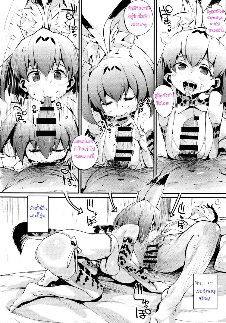 หน้าอกของเซอร์วัลจัง! (C92) [Entelekheia (Chirumakuro)] Serval Nipple (Kemono Friends) หน้า 7