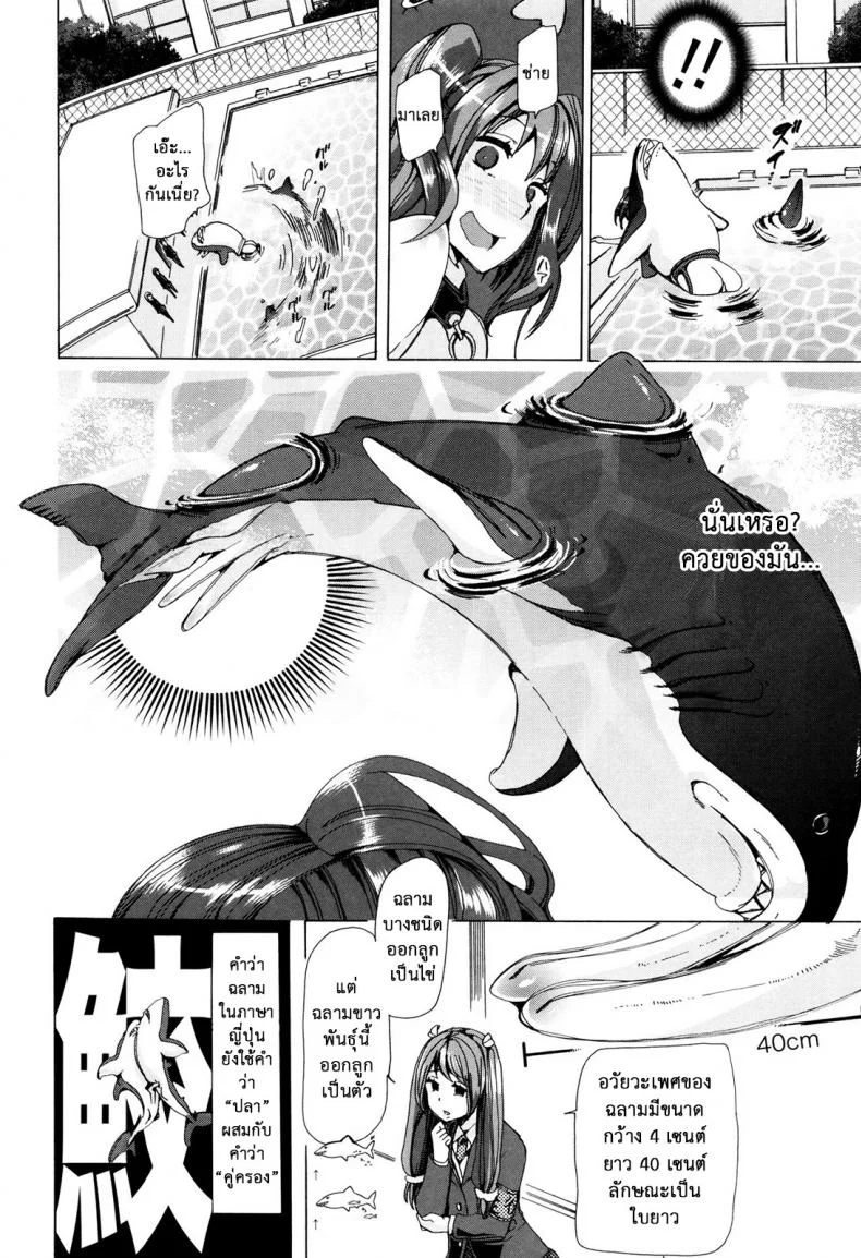 ผู้ดูแลคลาสติดสัด [Chikiko] Juukan Kyoushitsu - Bestiality Classผู้ดูแลคลาสติดสัด 4 หน้า 10
