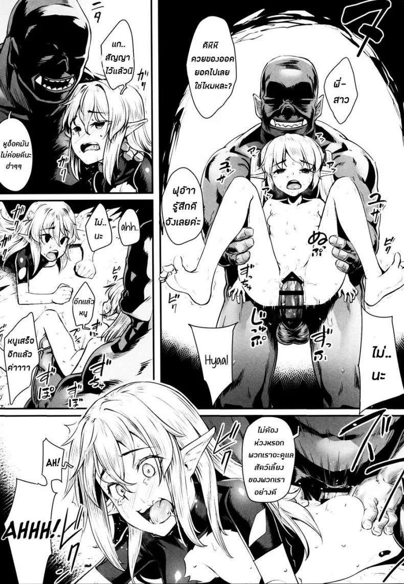 ทาสออร์ค สุขจนตาย (COMIC1☆13) [Area14 (Kasei)] Orc ni Torawareta Elf wa หน้า 23