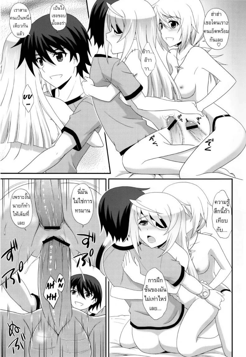 เราสามคนแรงเหลือเฟือ [CROSS-DO (Masakichi)] 1+1+1=∞ (Infinite Stratos) หน้า 14