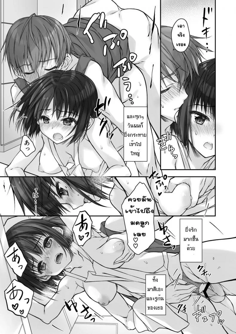 [Daikon Purin Su] Mada Koi mo Shiranai Gimai no Anaru deno Himegoto หน้า 17