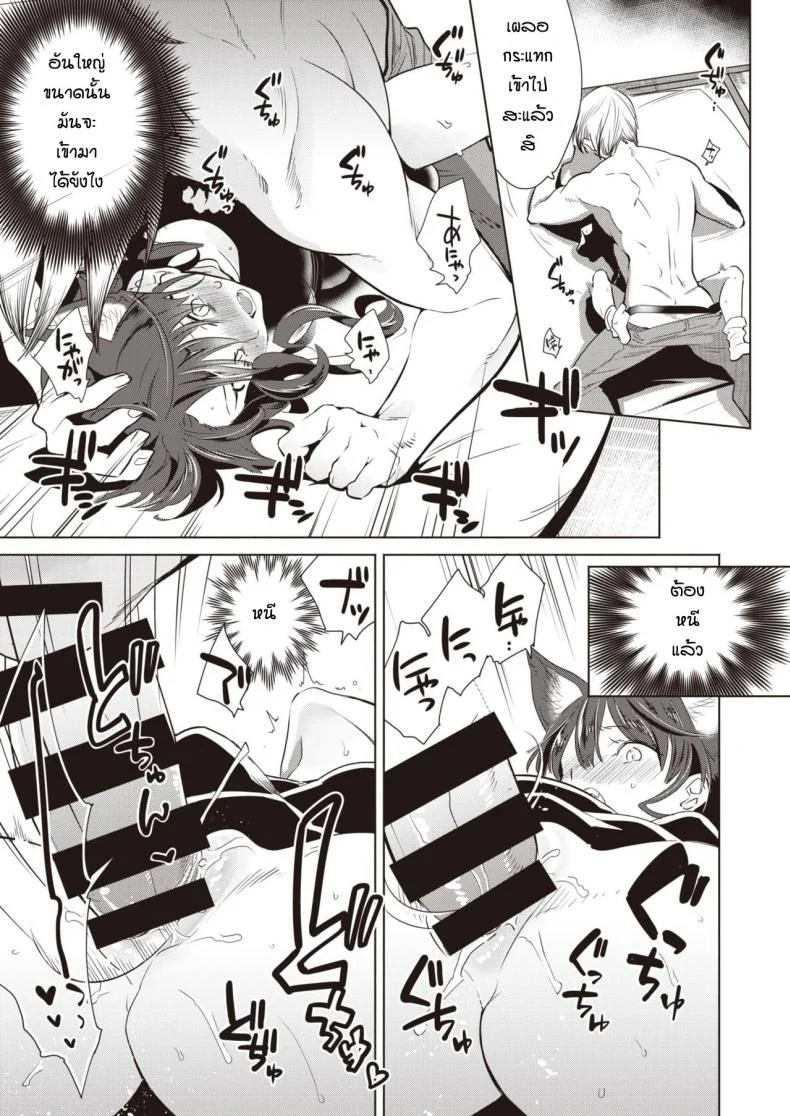 ช่วยแมวน้อยให้หายเงี่ยน [Kayama Kifumi] Kamishiro shonenn no neya kisune vs neko หน้า 12