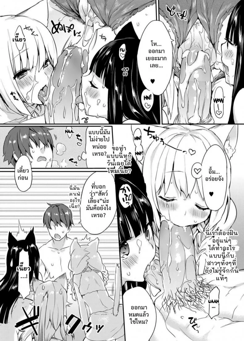 ดีลพิเศษ สำหรับคุณ [Tikisou Takeda] Nyan Nyan Dai Sakusen | Nyan Nyan Operation หน้า 19