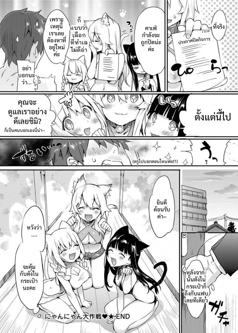 ดีลพิเศษ สำหรับคุณ [Tikisou Takeda] Nyan Nyan Dai Sakusen | Nyan Nyan Operation หน้า 20