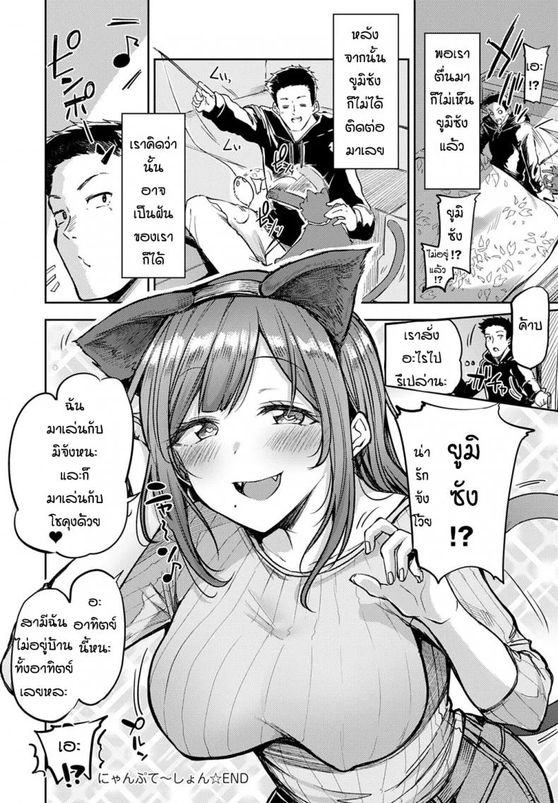หาแมวจนได้เรื่อง [Miyoshi] Nyanptation หน้า 30