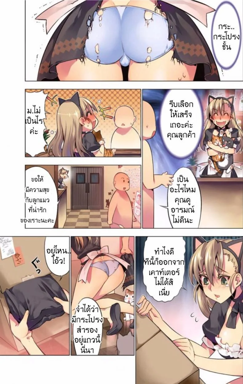 แมวคาเฟ่รุมทิ้งสาว [HB] Oh! Komarino!! 4 หน้า 5