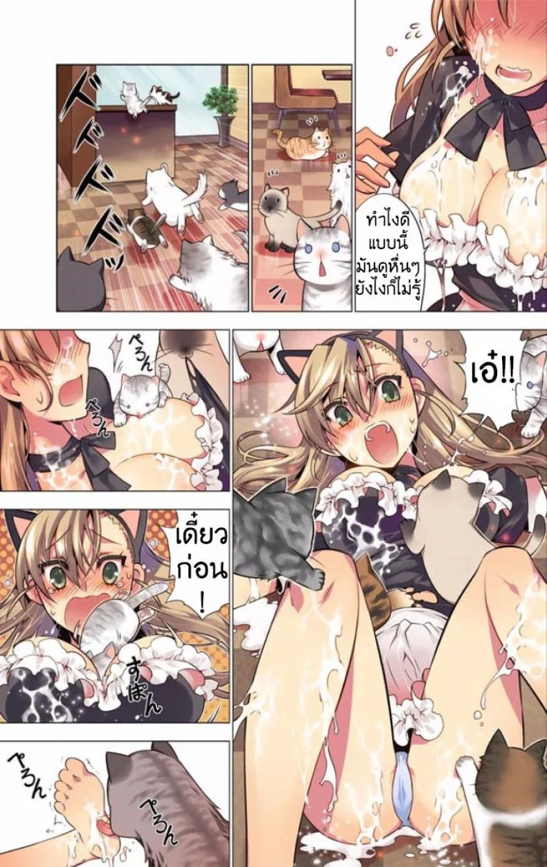 แมวคาเฟ่รุมทิ้งสาว [HB] Oh! Komarino!! 4 หน้า 7