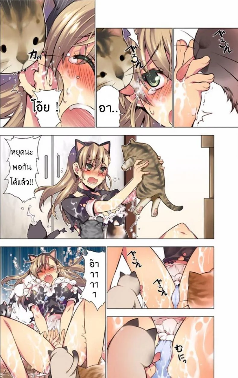 แมวคาเฟ่รุมทิ้งสาว [HB] Oh! Komarino!! 4 หน้า 8