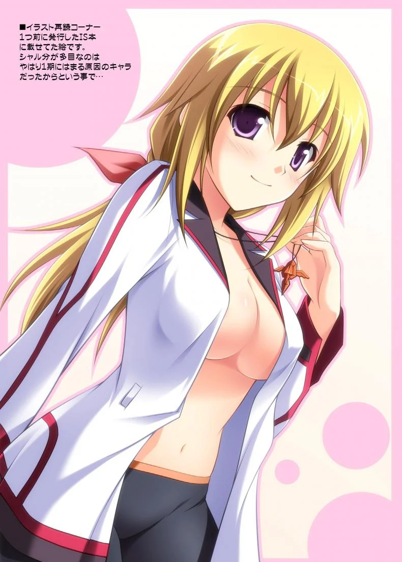 อาบน้ำเสร็จ รีดน้ำต่อ [KOJI2 (Tsuda Akira)] Nohohon Biyori+ (IS <Infinite Stratos>) หน้า 16