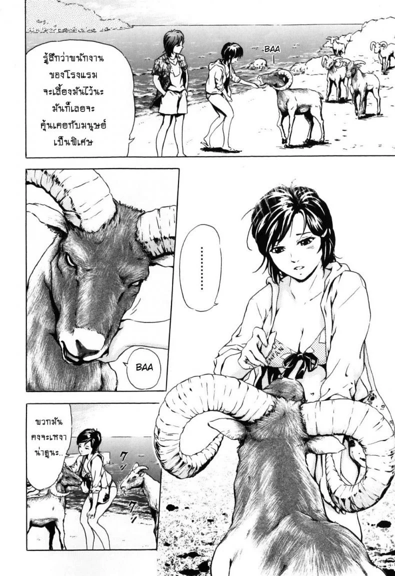 สาวน้อยกับฝูงแกะ [ichinose tsuzuki] Nangoku no Mouflon | Mouflon of the South หน้า 4