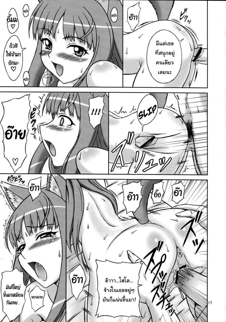 เท่านี้พอจะล้างหนี้ได้รึเปล่า (SC38) [Brain Dead (Eiji)] Ginka de Katte Sugu Taberu Kyouki no Rouhi Horo (Spice and Wolf) หน้า 16