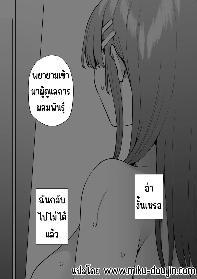 เป็นผู้ดูแลการประสมพันธุ์1วัน [綾枷家の猫(綾枷ちよこ)] 飼育係の一日 หน้า 56