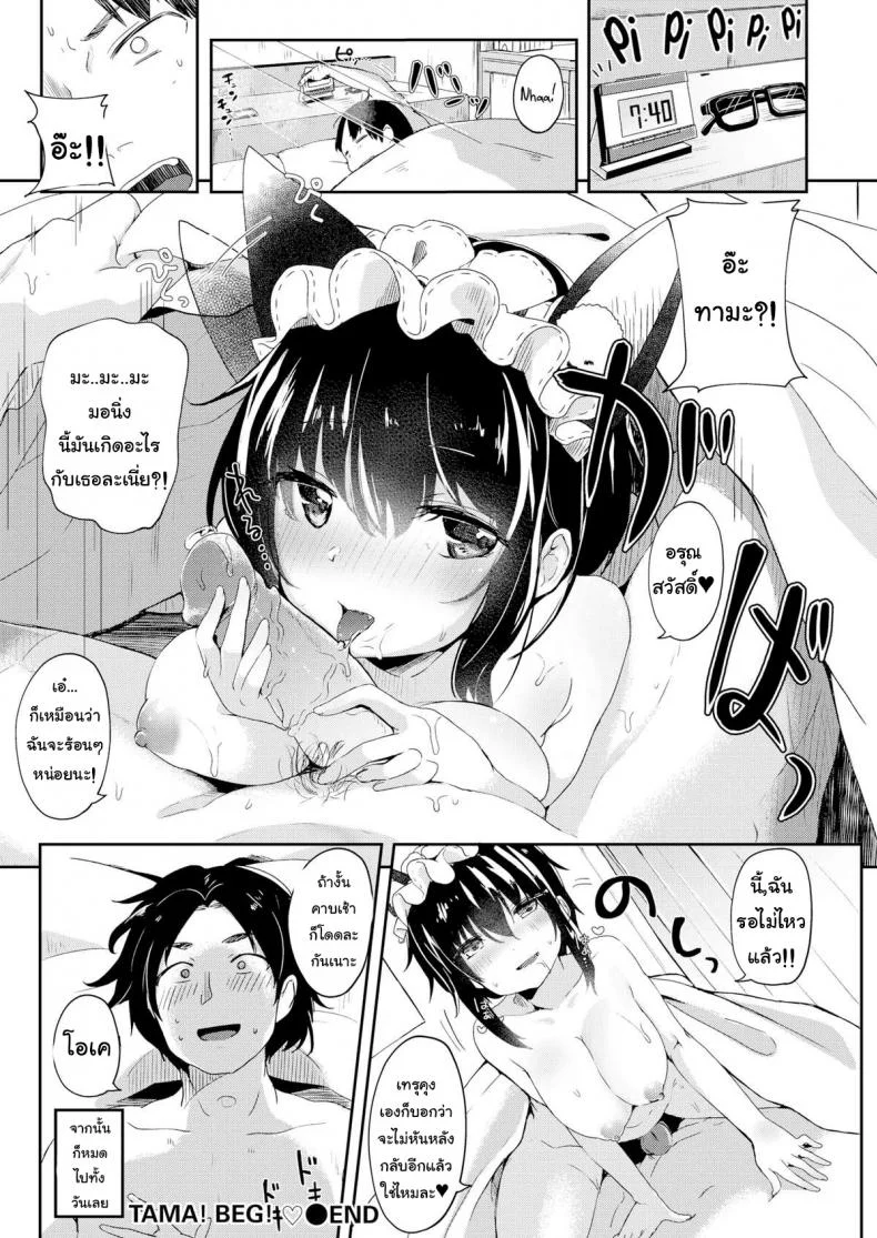 ขอร้องละนะ ทามะจัง [Tamano Kedama] Tama! Beg! หน้า 17