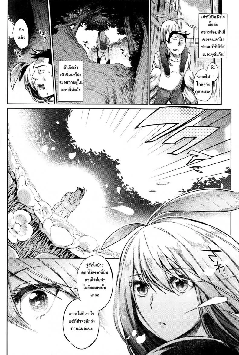 พืชมีชีวิต ผักก็มีหัวใจ [Mizone] Shokubutsu no Sodatekata - How to raise plants (COMIC BAVEL 2016-04)พืชมีชีวิต ผักก็มีหัวใจ 01 หน้า 8