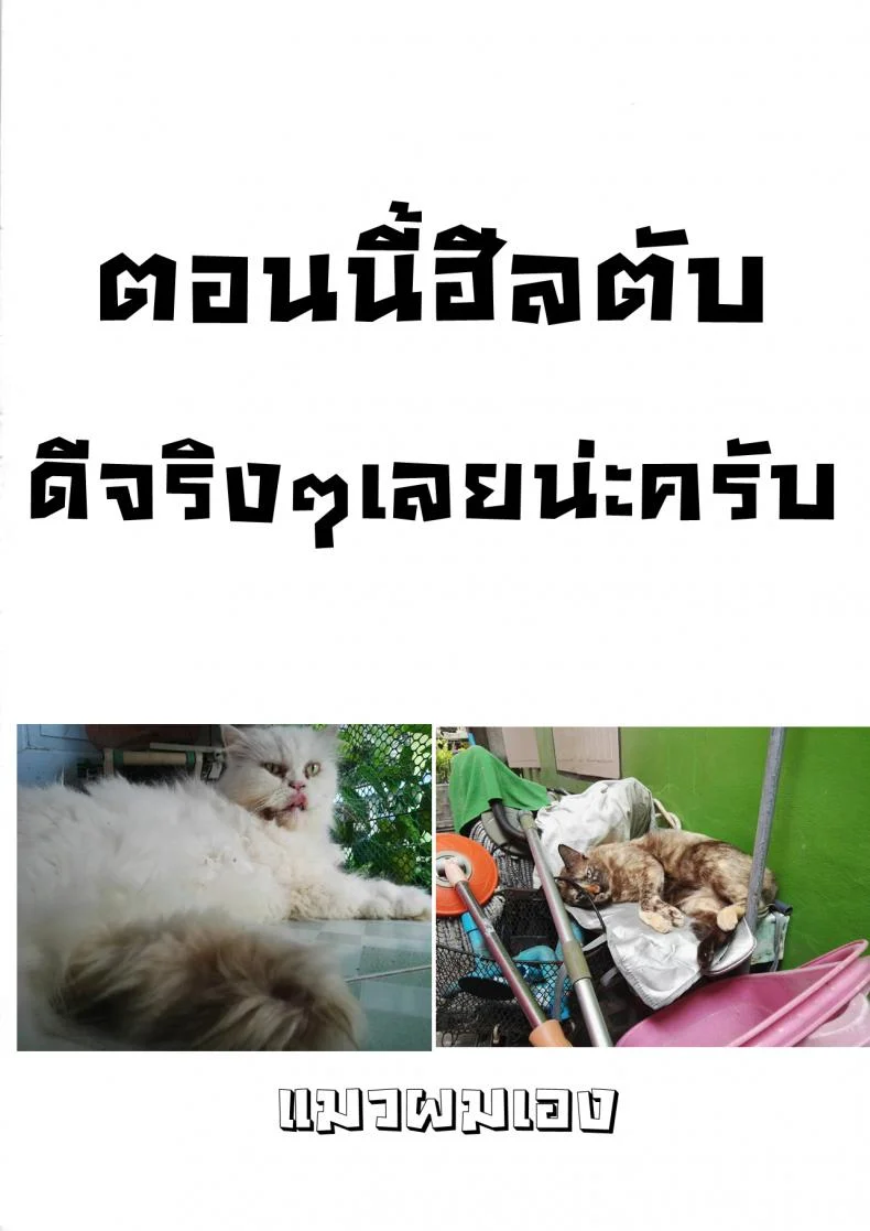 ยามวันวานของสองเรา [Mochi] Touki Ryoujoku | The Rape of a Warrior Oni Ch.2 (Onibana Muzan) หน้า 21