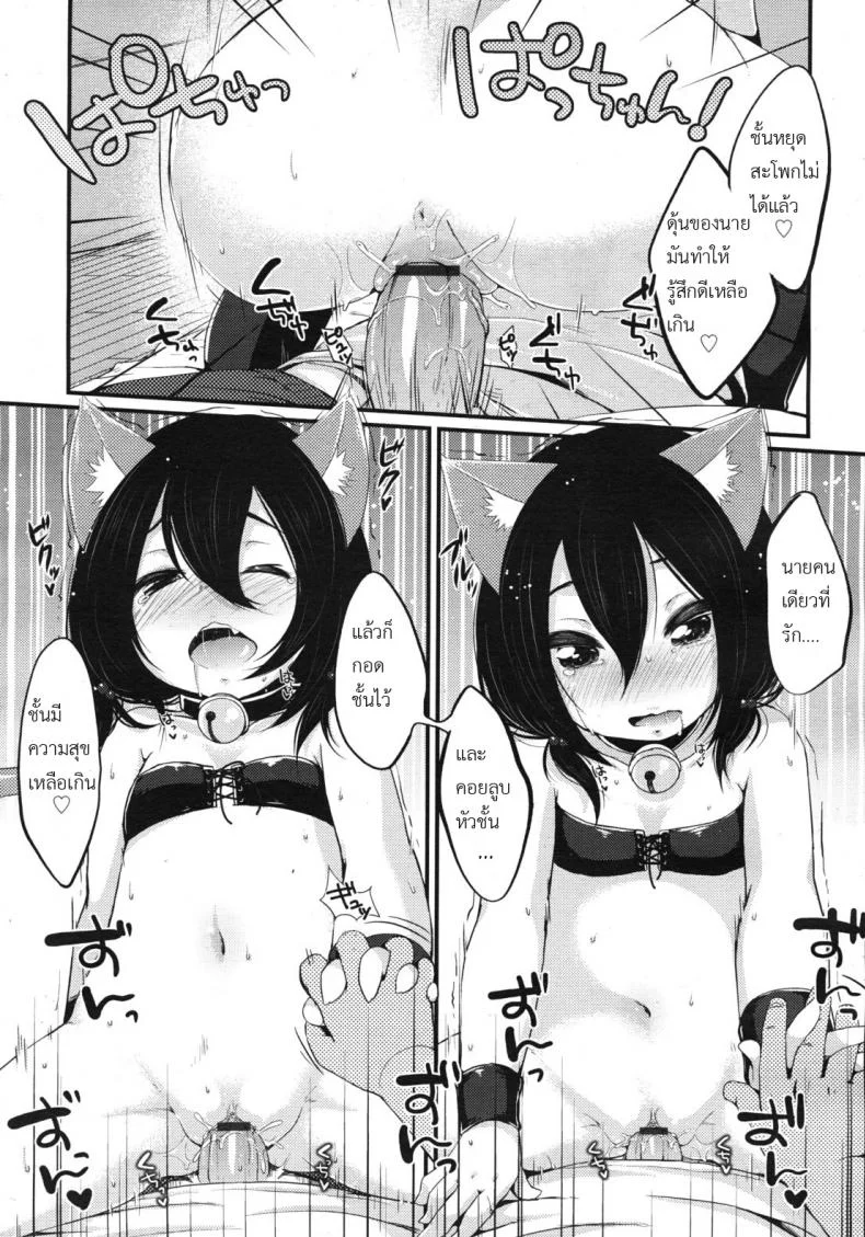 ให้น้องเหมียวช่วยดูแล [Mycella-Hime] Love Hold หน้า 15